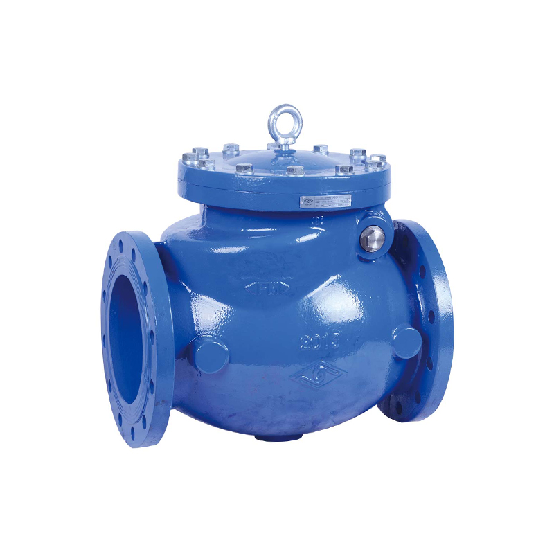 ANSI FLANGED SWING CHECK VALVE