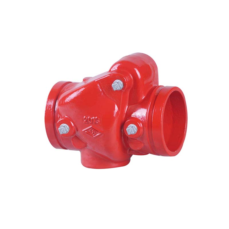 ANSI STANDARD GROOVED CHECK VALVE