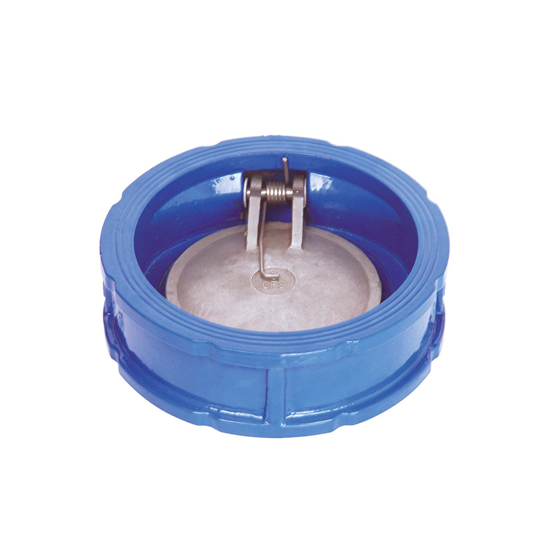 BS STANDARD SINGLE DOOR WAFER CHECK VALVE